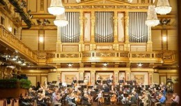 最新爆料维也纳视频播放,最新爆料背后的惊人真相