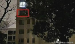 张江街头爆料案件最新,警方全力追查真相